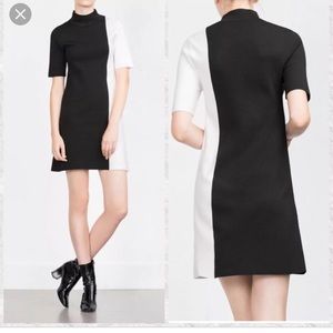 Zara colorblock high neck dress
